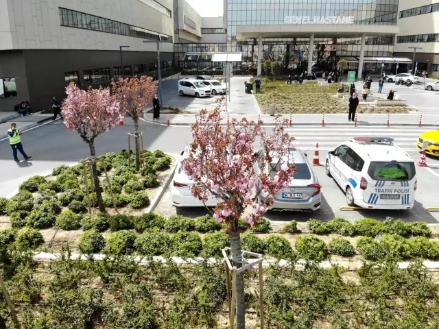 Son dakika haberi | Şehir Hastanesi'nin sakuraları çiçek açtı Son dakika haberi | Şehir Hastanesi'nin sakuraları çiçek açtı