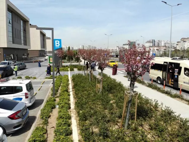 Son dakika haberi | Şehir Hastanesi'nin sakuraları çiçek açtı Son dakika haberi | Şehir Hastanesi'nin sakuraları çiçek açtı