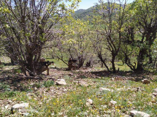Şırnak ve Hakkari'de, Eren Cudi-Besta ve Eren Kazan-Oğul operasyonları başlatıldı