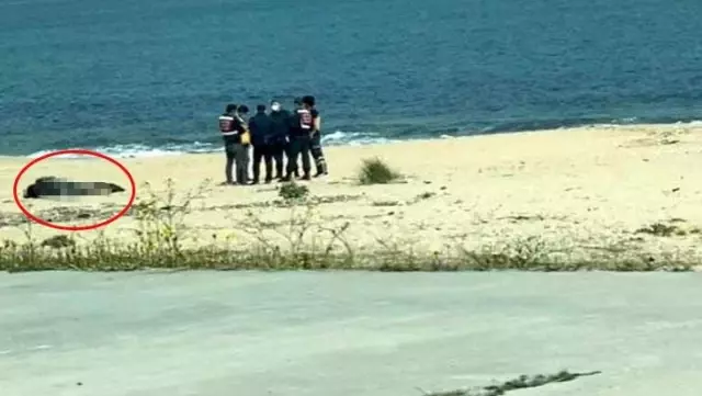 Henüz 28 yaşındaydı! Sahilde oturduğu taşın üzerinde kafasına sıkarak yaşamına son verdi Henüz 28 yaşındaydı! Sahilde oturduğu taşın üzerinde kafasına sıkarak yaşamına son verdi