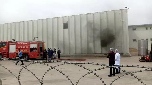 Tekirdağ'da fabrika yangını Tekirdağ'da fabrika yangını