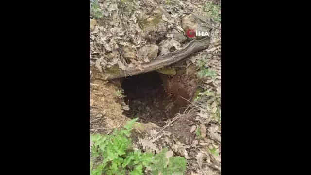 Tunceli'de 24 saatte imha edilen sığınak 35 oldu Tunceli'de 24 saatte imha edilen sığınak 35 oldu
