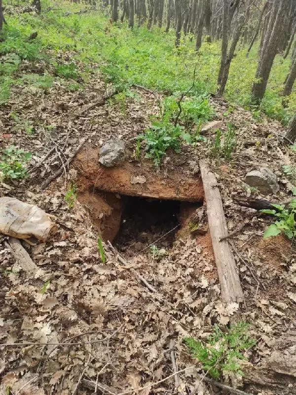 Tunceli'de teröristlerin 35 sığınağı ve 3 deposu imha edildi (2) Tunceli'de teröristlerin 35 sığınağı ve 3 deposu imha edildi (2)