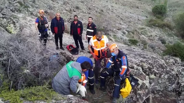 Uçurumda mahsur kalan koyunu ve sahibini ekipler kurtardı Uçurumda mahsur kalan koyunu ve sahibini ekipler kurtardı