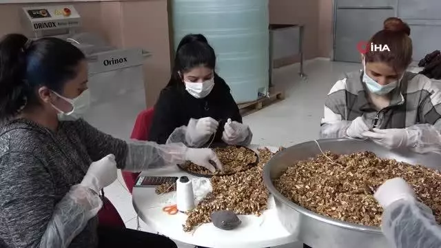 Yabancı uyruklu kadın girişimci, devlet desteğiyle kendi işini kurdu Yabancı uyruklu kadın girişimci, devlet desteğiyle kendi işini kurdu