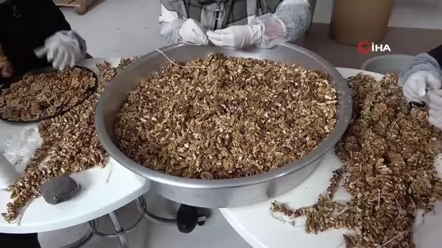Yabancı uyruklu kadın girişimci, devlet desteğiyle kendi işini kurdu Yabancı uyruklu kadın girişimci, devlet desteğiyle kendi işini kurdu