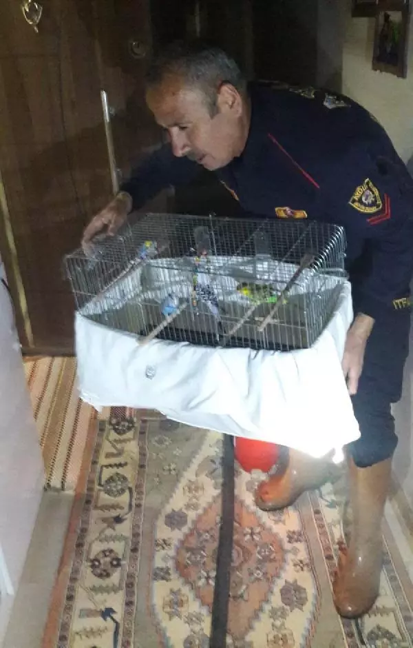 AYDIN YANGINDA MAHSUR KALAN ANNE VE 3 ÇOCUĞU İLE 4 KUŞ KURTARAN İTFAİYECİLER KONUŞTU AYDIN YANGINDA MAHSUR KALAN ANNE VE 3 ÇOCUĞU İLE 4 KUŞ KURTARAN İTFAİYECİLER KONUŞTU