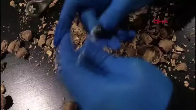 155 KİLO 550 GRAM AFYON SAKIZINI CEVİZİN İÇİNE YERLEŞTİRDİLER 155 KİLO 550 GRAM AFYON SAKIZINI CEVİZİN İÇİNE YERLEŞTİRDİLER