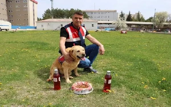 178 operasyonda görev yapan iz takip köpeği 'Hisar' artık emekli 178 operasyonda görev yapan iz takip köpeği 'Hisar' artık emekli