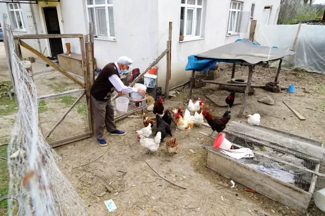 50 yıldır bitmeyen vefa hikayesi 50 yıldır bitmeyen vefa hikayesi