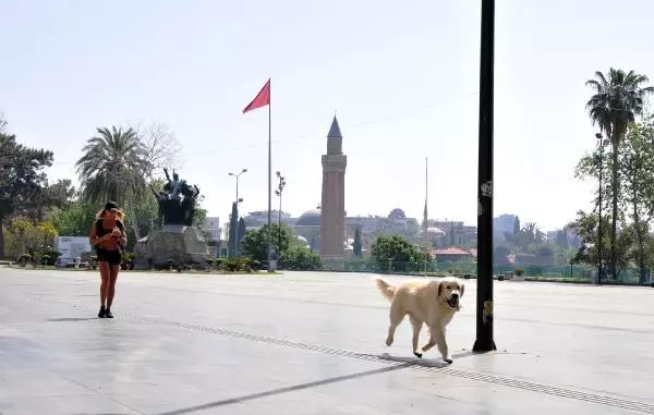 Antalya'da trafiğinde yoğunluk yaşandı, meydanlar boş kaldı Antalya'da trafiğinde yoğunluk yaşandı, meydanlar boş kaldı