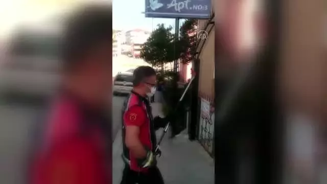 Apartman bahçesindeki yılan itfaiye ekiplerince yakalanarak doğaya salındı Apartman bahçesindeki yılan itfaiye ekiplerince yakalanarak doğaya salındı