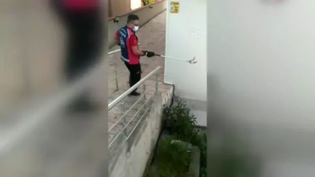 Apartman bahçesindeki yılan itfaiye ekiplerince yakalanarak doğaya salındı Apartman bahçesindeki yılan itfaiye ekiplerince yakalanarak doğaya salındı