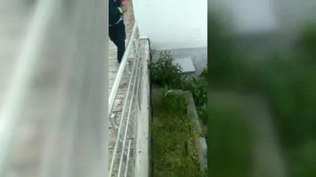 Apartman bahçesindeki yılan itfaiye ekiplerince yakalanarak doğaya salındı Apartman bahçesindeki yılan itfaiye ekiplerince yakalanarak doğaya salındı