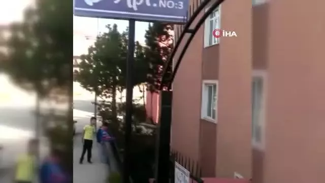 Son dakika haberi! Apartman bahçesindeki yılanı itfaiye yakaladı Son dakika haberi! Apartman bahçesindeki yılanı itfaiye yakaladı
