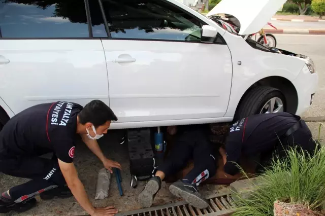 Antalya'da araç motoruna sıkışan kediyi kurtarmak için seferber oldular Antalya'da araç motoruna sıkışan kediyi kurtarmak için seferber oldular