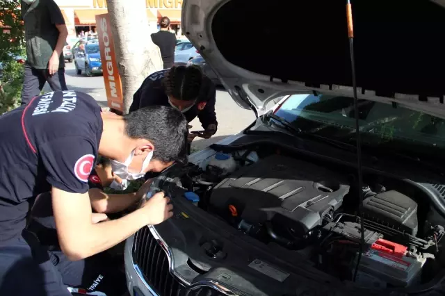 Antalya'da araç motoruna sıkışan kediyi kurtarmak için seferber oldular Antalya'da araç motoruna sıkışan kediyi kurtarmak için seferber oldular