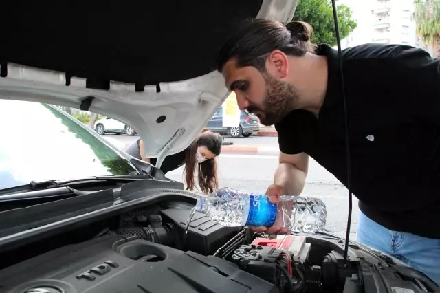 Antalya'da araç motoruna sıkışan kediyi kurtarmak için seferber oldular Antalya'da araç motoruna sıkışan kediyi kurtarmak için seferber oldular