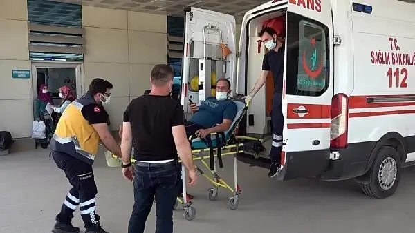 Arılar hastanelik etti Arılar hastanelik etti