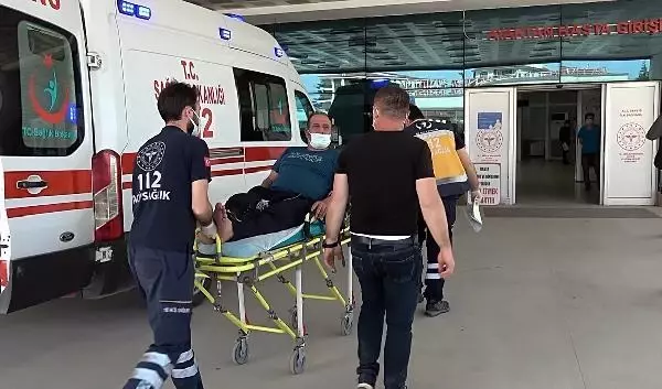 Arılar hastanelik etti Arılar hastanelik etti