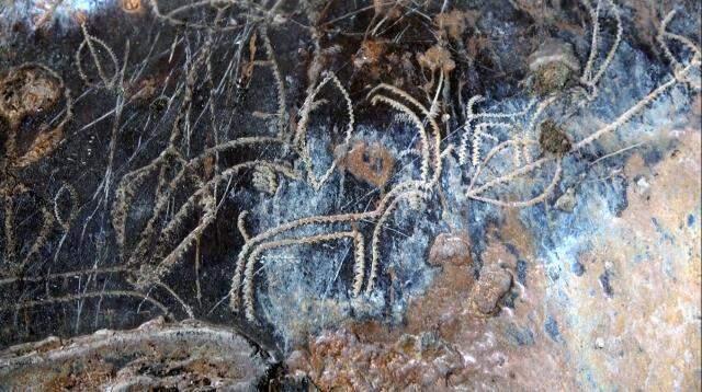 Arkeologları heyecanlandıran figürler: Mersin'de yaklaşık 8 bin yıllık resimler bulundu Arkeologları heyecanlandıran figürler: Mersin'de yaklaşık 8 bin yıllık resimler bulundu