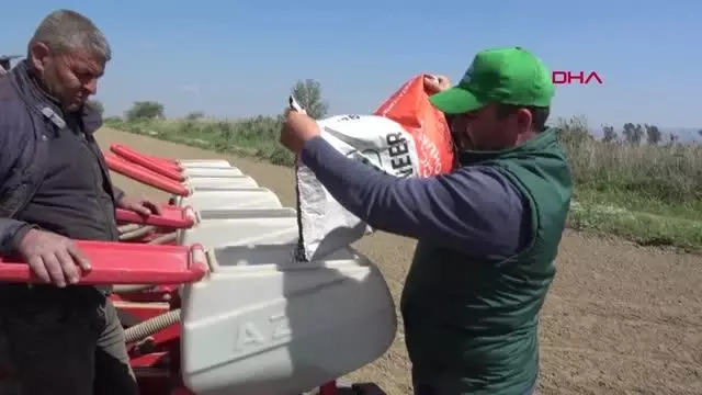 AYDIN İNCİRLİOVA 'DA ÜRETİCİ 'BEYAZ ALTIN PAMUK YERİNE, DAHA AZ SU İSTEYEN AYÇİÇEĞİNE YÖNELMEYE BAŞLADI AYDIN İNCİRLİOVA 'DA ÜRETİCİ 'BEYAZ ALTIN PAMUK YERİNE, DAHA AZ SU İSTEYEN AYÇİÇEĞİNE YÖNELMEYE BAŞLADI