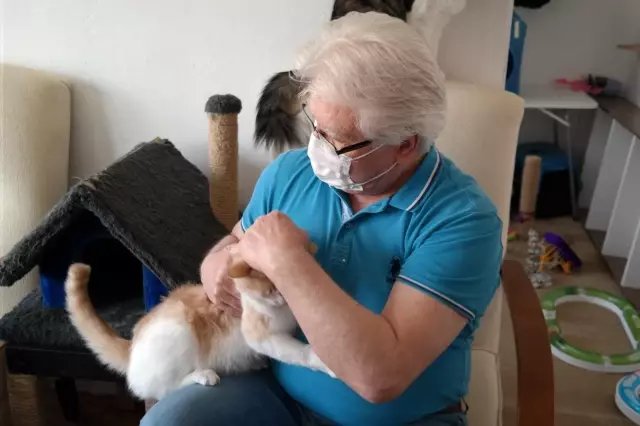 Bu otelde kediler çok rahat Bu otelde kediler çok rahat