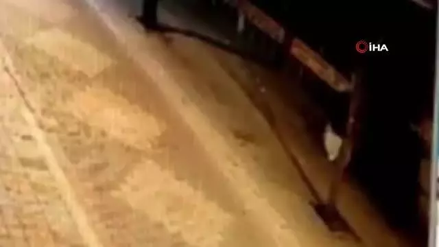 Çaldıkları çelik kasayı el arabasına koyup böyle götürdüler Çaldıkları çelik kasayı el arabasına koyup böyle götürdüler