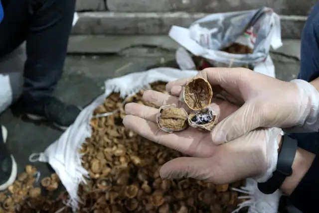Ceviz kabuklarının içerisine gizlenmiş 153 kilo 550 gram afyon sakızı ele geçirildi Ceviz kabuklarının içerisine gizlenmiş 153 kilo 550 gram afyon sakızı ele geçirildi