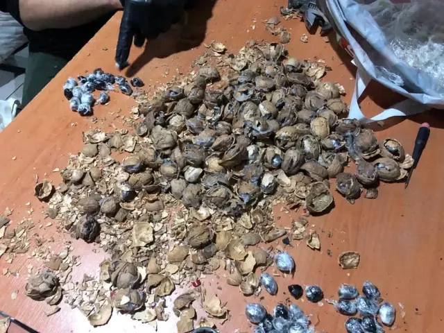 Ceviz kabuklarının içerisine gizlenmiş 153 kilo 550 gram afyon sakızı ele geçirildi Ceviz kabuklarının içerisine gizlenmiş 153 kilo 550 gram afyon sakızı ele geçirildi