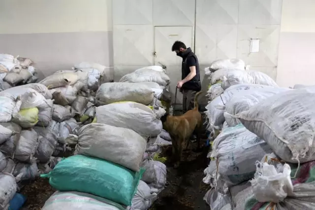 Ceviz kabuklarının içerisine gizlenmiş 153 kilo 550 gram afyon sakızı ele geçirildi Ceviz kabuklarının içerisine gizlenmiş 153 kilo 550 gram afyon sakızı ele geçirildi