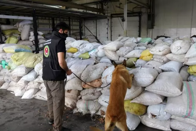 Ceviz kabuklarının içerisine gizlenmiş 153 kilo 550 gram afyon sakızı ele geçirildi Ceviz kabuklarının içerisine gizlenmiş 153 kilo 550 gram afyon sakızı ele geçirildi