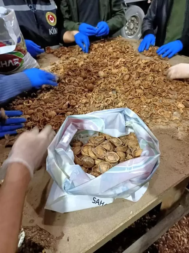 Ceviz kabuklarının içerisine gizlenmiş 153 kilo 550 gram afyon sakızı ele geçirildi Ceviz kabuklarının içerisine gizlenmiş 153 kilo 550 gram afyon sakızı ele geçirildi