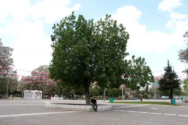Gaziantep'te tam kapanmaya kısmen uyuldu Gaziantep'te tam kapanmaya kısmen uyuldu