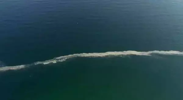 Deniz salyası Tekirdağ'da yeniden ortaya çıktı Deniz salyası Tekirdağ'da yeniden ortaya çıktı