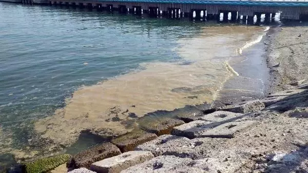 Deniz salyası Tekirdağ'da yeniden ortaya çıktı Deniz salyası Tekirdağ'da yeniden ortaya çıktı