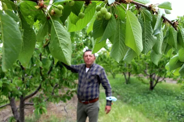 Doluyu 4 dönümlük fileyle durdurdu Doluyu 4 dönümlük fileyle durdurdu