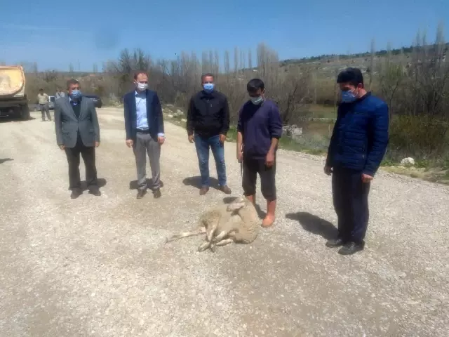 Dumlupınar köy yollarında beton asfalt çalışmaları Dumlupınar köy yollarında beton asfalt çalışmaları