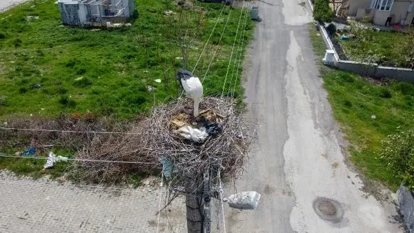 Elektrik direği, 7 yıldır leyleklerin yuvası Elektrik direği, 7 yıldır leyleklerin yuvası