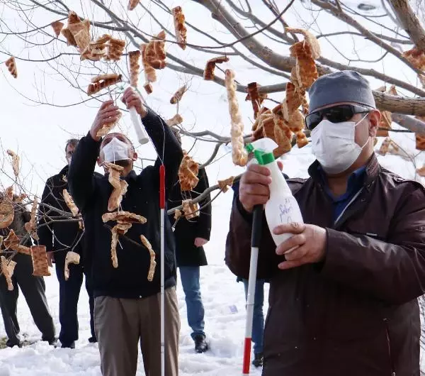 ENGELLİLER, KUŞLAR İÇİN 'RIZIK AĞACI'NA EKMEK ASTI ENGELLİLER, KUŞLAR İÇİN 'RIZIK AĞACI'NA EKMEK ASTI