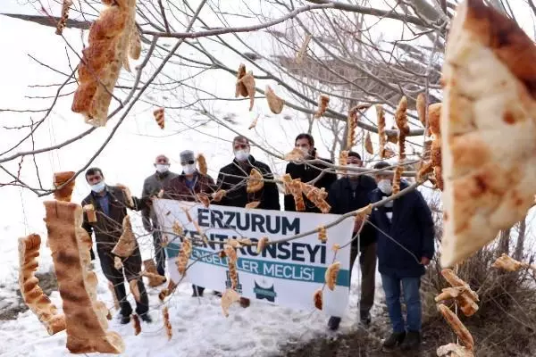 ENGELLİLER, KUŞLAR İÇİN 'RIZIK AĞACI'NA EKMEK ASTI ENGELLİLER, KUŞLAR İÇİN 'RIZIK AĞACI'NA EKMEK ASTI