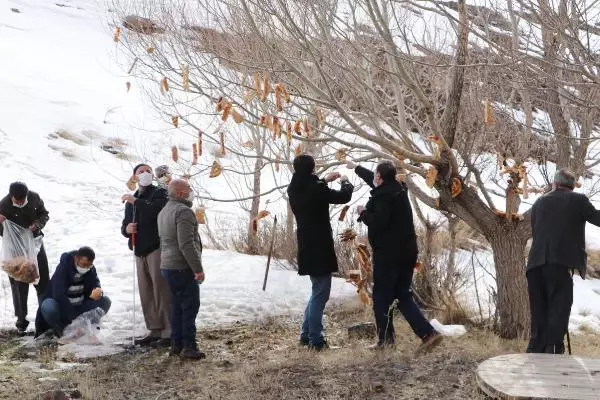 ENGELLİLER, KUŞLAR İÇİN 'RIZIK AĞACI'NA EKMEK ASTI ENGELLİLER, KUŞLAR İÇİN 'RIZIK AĞACI'NA EKMEK ASTI