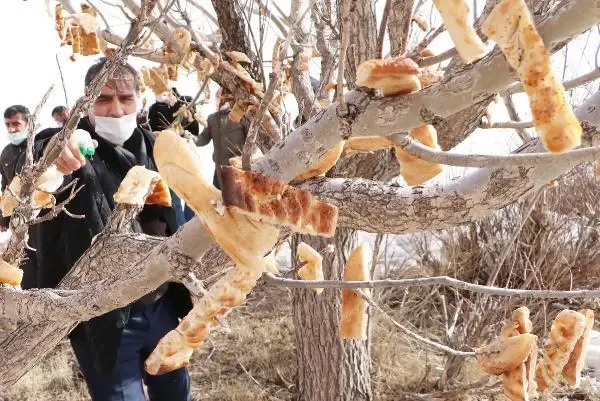 ENGELLİLER, KUŞLAR İÇİN 'RIZIK AĞACI'NA EKMEK ASTI ENGELLİLER, KUŞLAR İÇİN 'RIZIK AĞACI'NA EKMEK ASTI