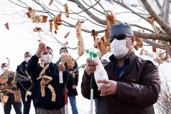 ENGELLİLER, KUŞLAR İÇİN 'RIZIK AĞACI'NA EKMEK ASTI ENGELLİLER, KUŞLAR İÇİN 'RIZIK AĞACI'NA EKMEK ASTI