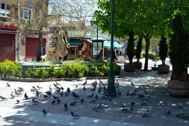 Güvercinlerin şanslısı yem buldu, şansızı aç kaldı Güvercinlerin şanslısı yem buldu, şansızı aç kaldı