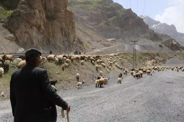 HAKKARİ'DE YAYLA GÖÇÜ HAKKARİ'DE YAYLA GÖÇÜ