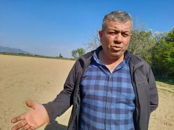 AYDIN İNCİRLİOVA 'DA ÜRETİCİ 'BEYAZ ALTIN PAMUK YERİNE, DAHA AZ SU İSTEYEN AYÇİÇEĞİNE YÖNELMEYE BAŞLADI AYDIN İNCİRLİOVA 'DA ÜRETİCİ 'BEYAZ ALTIN PAMUK YERİNE, DAHA AZ SU İSTEYEN AYÇİÇEĞİNE YÖNELMEYE BAŞLADI