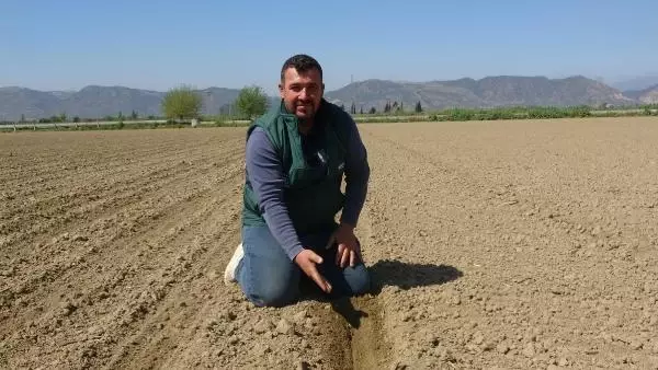 AYDIN İNCİRLİOVA 'DA ÜRETİCİ 'BEYAZ ALTIN PAMUK YERİNE, DAHA AZ SU İSTEYEN AYÇİÇEĞİNE YÖNELMEYE BAŞLADI AYDIN İNCİRLİOVA 'DA ÜRETİCİ 'BEYAZ ALTIN PAMUK YERİNE, DAHA AZ SU İSTEYEN AYÇİÇEĞİNE YÖNELMEYE BAŞLADI