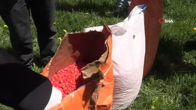 İpekyolu Belediyesi'nden çiftçiye tohum desteği İpekyolu Belediyesi'nden çiftçiye tohum desteği