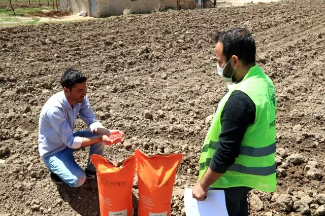 İpekyolu Belediyesinden çiftçiye tohum desteği